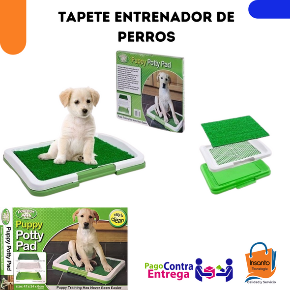 Tapete De Entrenamiento Perros Pequeños Baño Ecológico Nuevo
